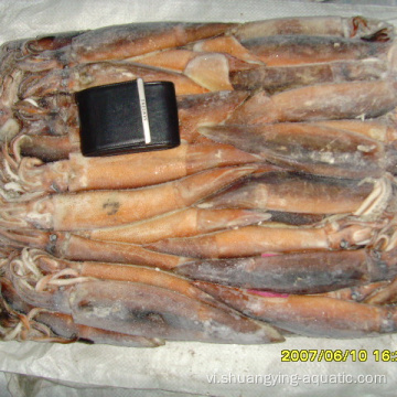 Argentinus frozen illex squid toàn bộ vòng 100200g wr